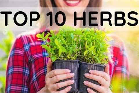 Top 10 Herbs to Grow and sell for Profit