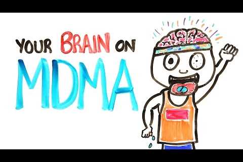 Your Brain On MDMA