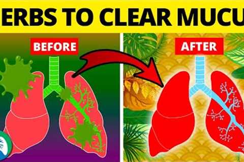 5 Herbs for Lung Health, Clearing Mucus, COPD, and Killing Viruses