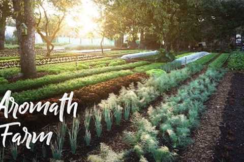 AMAZING Small Farm in France Under TREES! // Aromath Farm