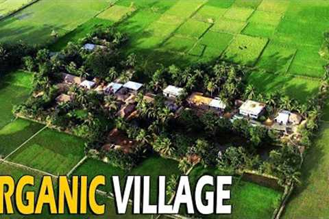 Organic Village in India | Inspiring Story of Indian Village | Village Life