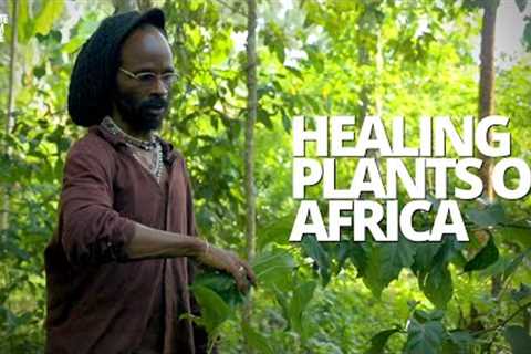 African Herbalist Shows Us Medicinal Plants And Herbs That Protect, Heal, And Restore The Body