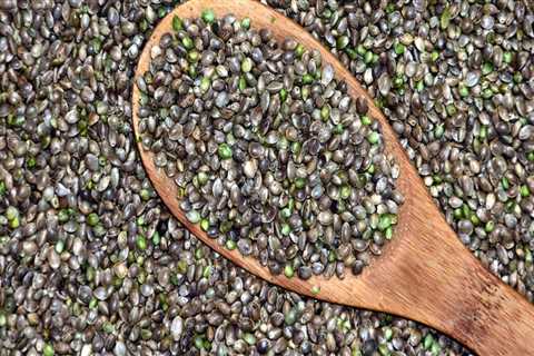 Can Hemp Seeds Intoxicate You? A Comprehensive Look at the Facts