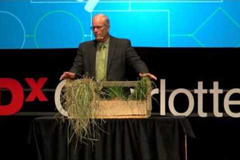 Cows, Carbon and Climate | Joel Salatin | TEDxCharlottesville