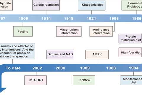 The Role of Plant-Based Diets in Reducing the Risk of Respiratory Diseases