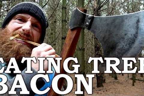 Eating TREE BACON like a BEAVER with Viking AXE! | Cambium Survival Food | Tormund Giantsbane