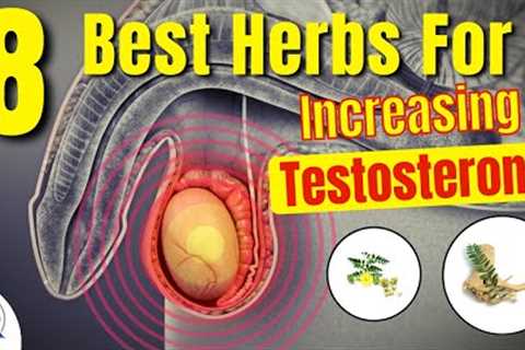 8 Best Herbs For 𝗜𝗻𝗰𝗿𝗲𝗮𝘀𝗶𝗻𝗴 𝗧𝗲𝘀𝘁𝗼𝘀𝘁𝗲𝗿𝗼𝗻𝗲 (Clinically Proven)