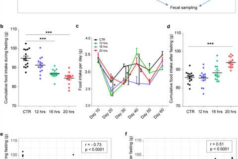 Intermittent Fasting and Gut Inflammation