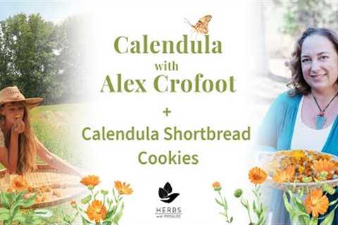 Calendula with Alex Crofoot + Calendula Shortbread Cookies