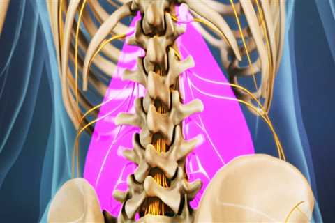 What part of the back is most commonly affected by back injury and back pain?