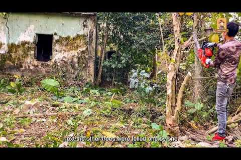 Transforming the Overgrown and Neglected Home of a Lonely Elderly Man | Clean Up