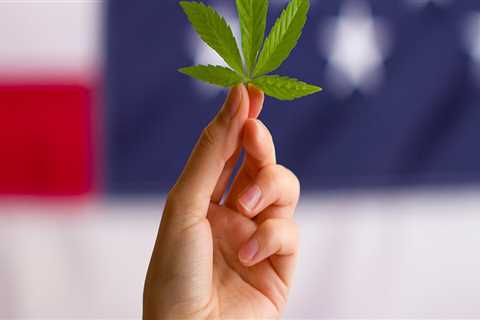 Is Industrial Hemp Legal in All 50 States?