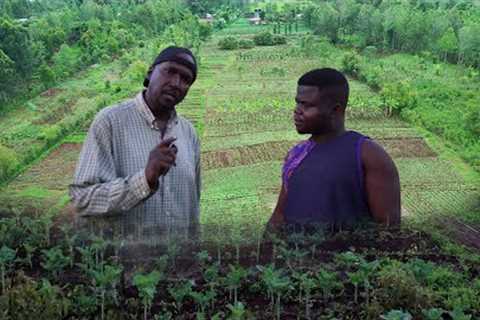 I Left America To Kenya & Now Own 20 Acres Organic Farm!