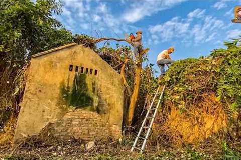 Revamping a Century-Old Home Engulfed in Untamed Foliage through Thorough Cleaning | Clean Up