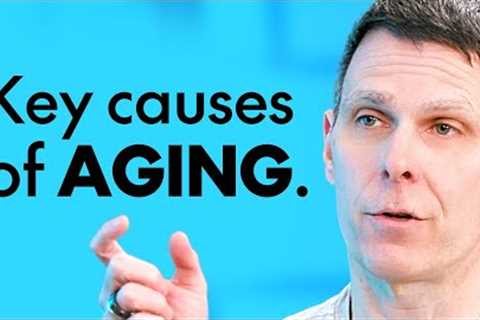 ANTI-AGING SCIENTIST: What To Eat & When To Eat To SLOW THE AGING Process | Matt Kaeberlein