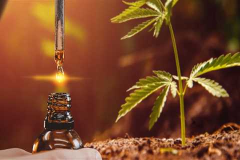 The Brain-Boosting Benefits of Hemp Oil