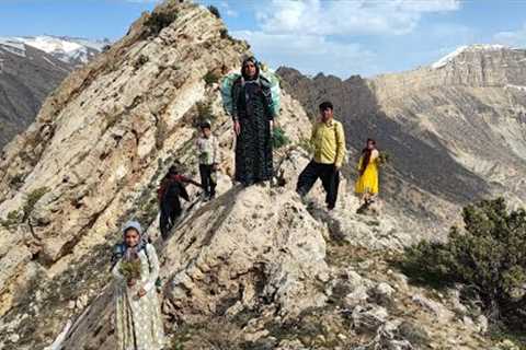 A village family crosses the rough mountains to pick edible plants