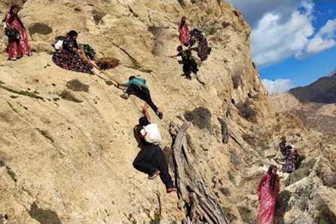 Picking medicinal plants in the mountains by a village woman and her children