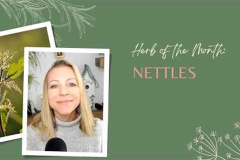 Herb of the Month: Nettles