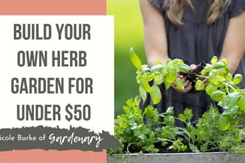 Build Your Own Herb Garden for Under $50