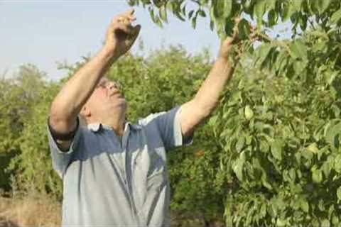 Organic Farming Documentary