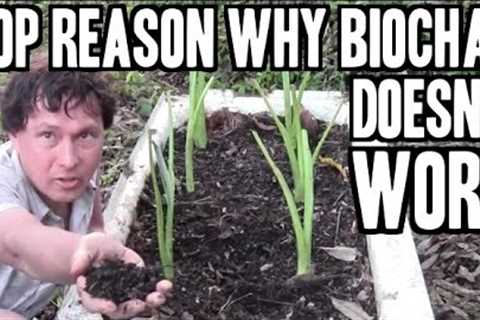 Top Reason Why Biochar Doesn''t Increase Crop Yields & 5 Ways to Fix it