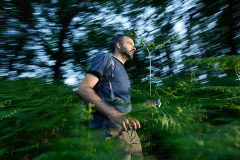 Lost Hikers on Shrooms Saved by Mountain Rescue Team