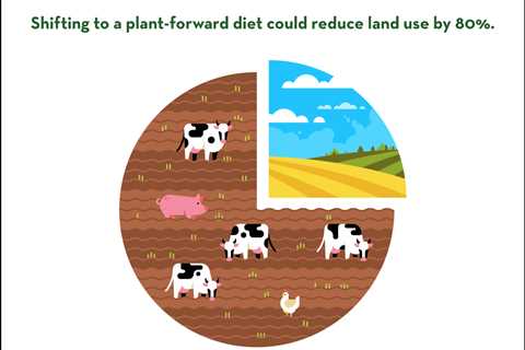 Environmental Impact of Plant-Based Diets