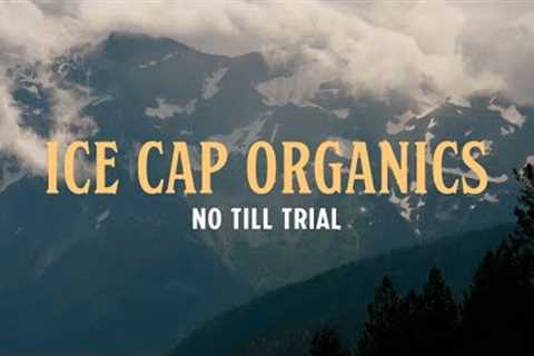 Organic Innovation Series Episode 3: No Till Trial - Ice Cap Organics