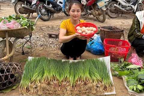 Harvest chicken eggs & spring onion, go to market to sell, daily life | plant eggplants