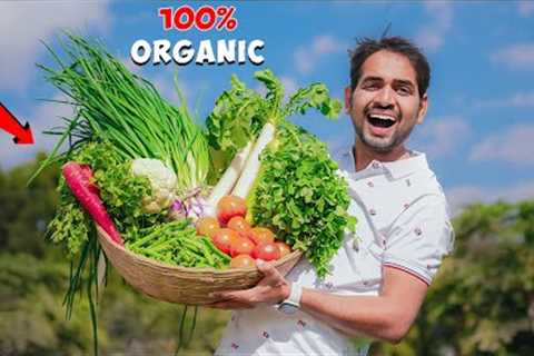 We Grow Organic Fruits And Vegetables - 100% Healthy