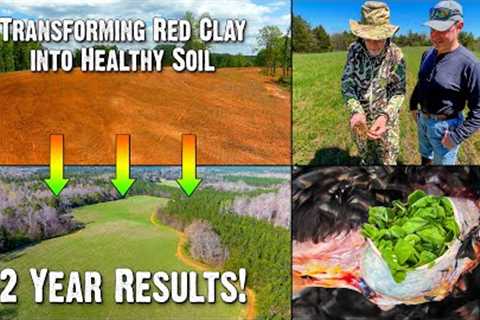 Transforming Red Clay into Healthy Soil: Achieving Successful Food Plot Results in Just 2 Years 754