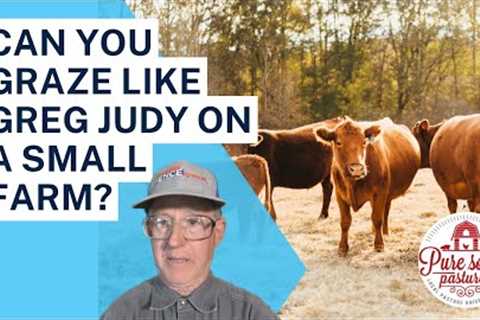 Is it possible to graze like Greg Judy on a small farm?   @gregjudyregenerativerancher