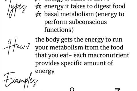 Lumen Weight Loss Reviews (How You are Processing Certain Foods / Macronutrients)