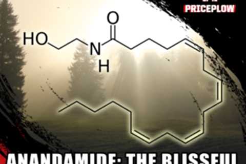 Anandamide: The Body’s Blissful Endocannabinoid Molecule