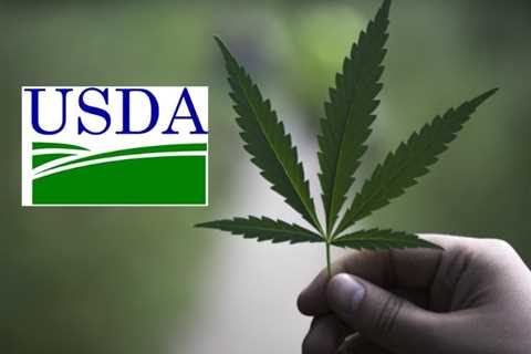 USDA’s ‘Climate-Smart’ Program Barely Includes Hemp