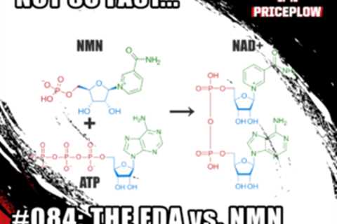 The FDA vs NMN Situation Report (Feb 2023) | PPP #084