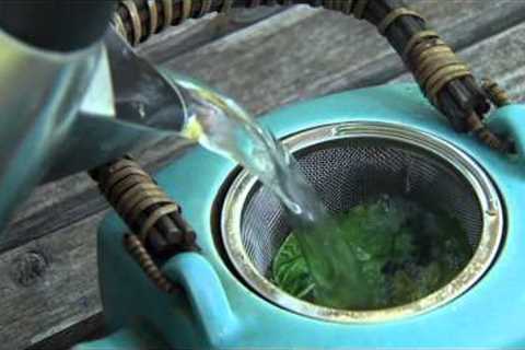 Brewing Tea with Fresh Herbs