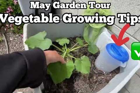 How to Grow a Vegetable Garden CHEAP Tricks& Tips, Vertical Container Gardening Raised Bed Free ..