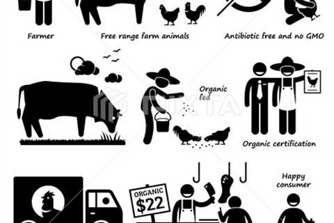 Why Choose Organic Meat and Poultry?