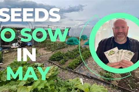 What Seeds Am I Sowing In MAY? | Seeds To Sow In MAY | Grow Your Own | Mark''s Allotment Plot