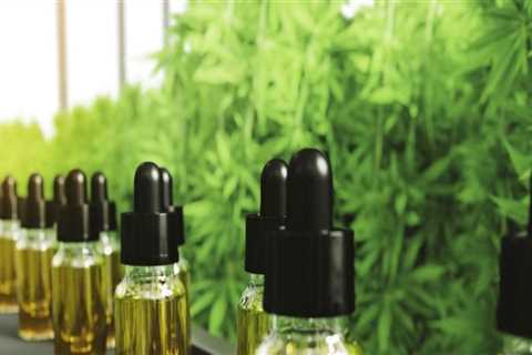 Which is Better for You: Hemp Oil or CBD Oil?