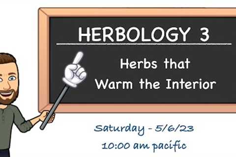 🌿 Herbs that Warm the Interior - Herbology 3 Live Webinar  (5/6/23)