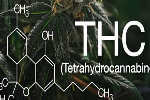 What is the Meaning of THC?