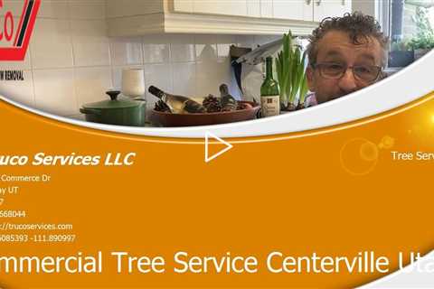 Tree-Services-Farr-West-Utah