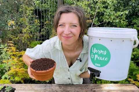 Harvesting Worm Compost & Refreshing my 4 Year Old Wormery