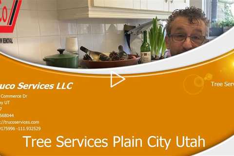 Tree-Services-Taylorsville-Utah