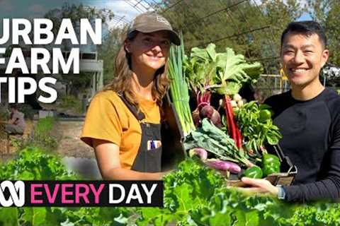 This urban farm makes a tonne of veggies every year 💗🌱 | Everyday | ABC Australia