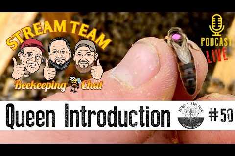 Stream Team Chat - Queen Introduction