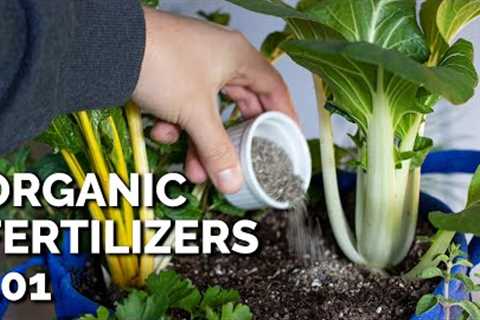 14 Organic Fertilizers and How to Use Them